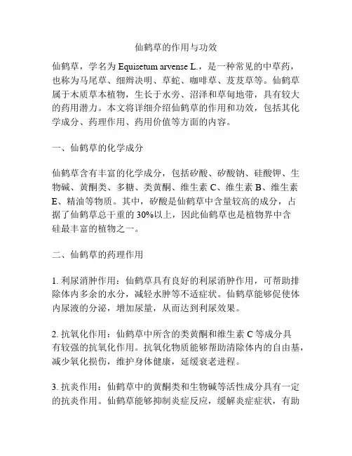 仙鹤草的作用与功效