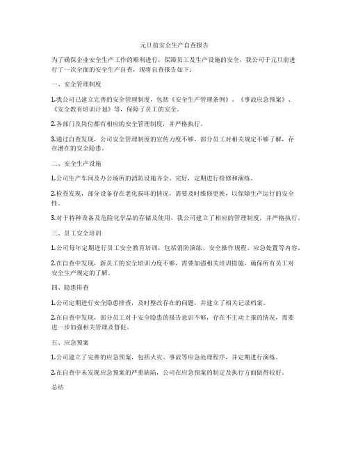 元旦前安全生产自查报告