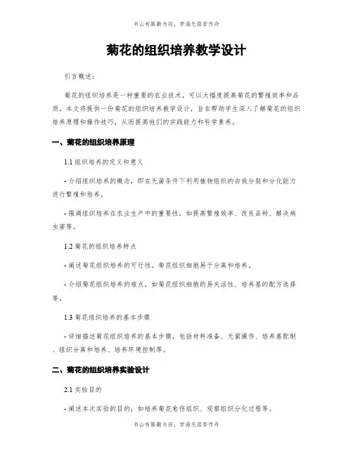 菊花的组织培养教学设计