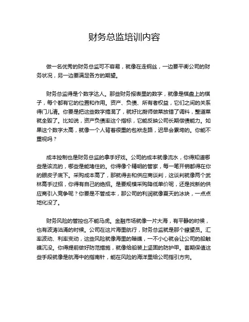 财务总监培训内容