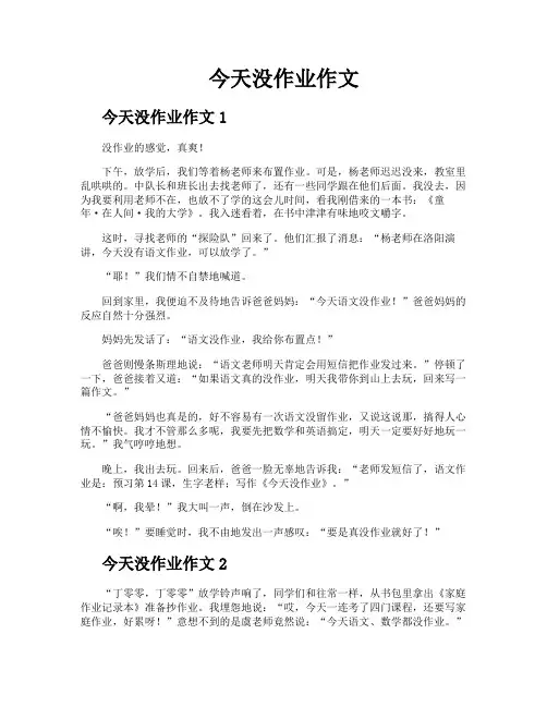 今天没作业作文