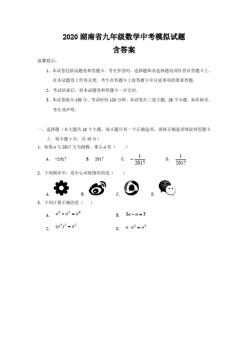 2020年湖南省九年级数学中考模拟试题含答案