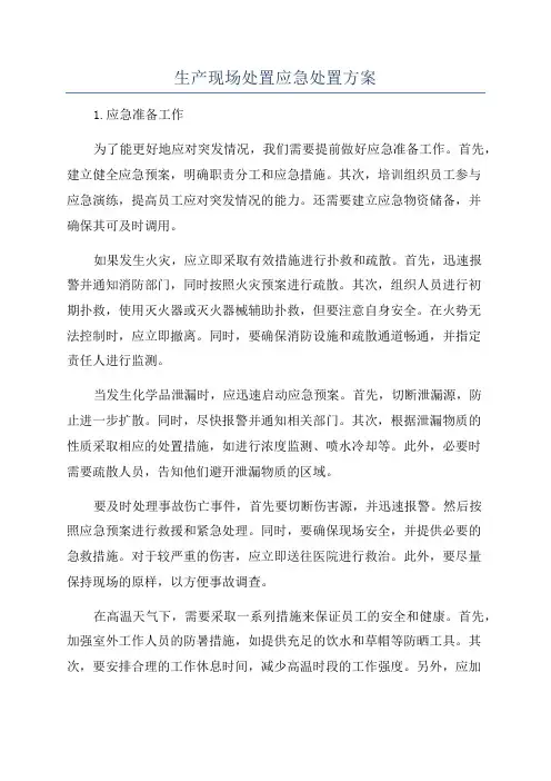 生产现场处置应急处置方案