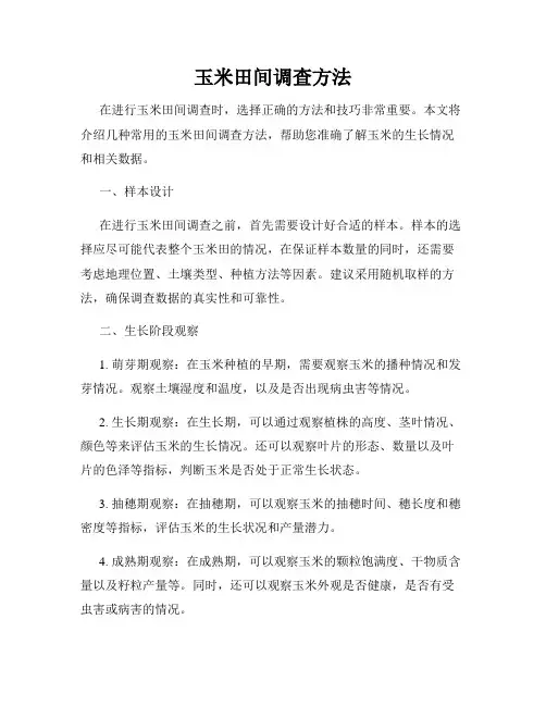 玉米田间调查方法