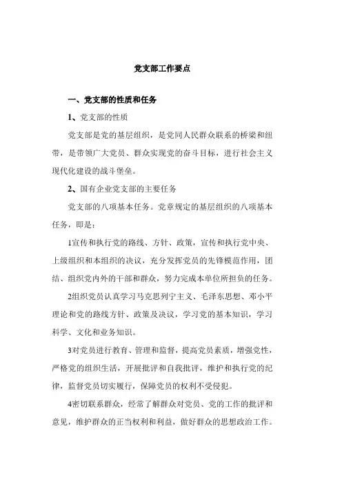 党支部工作要点