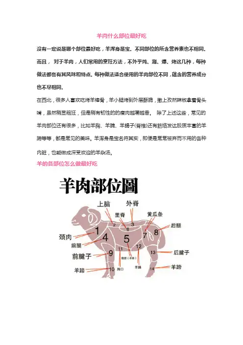 羊肉什么部位最好吃