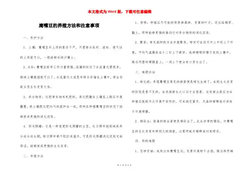 鹰嘴豆的养殖方法和注意事项