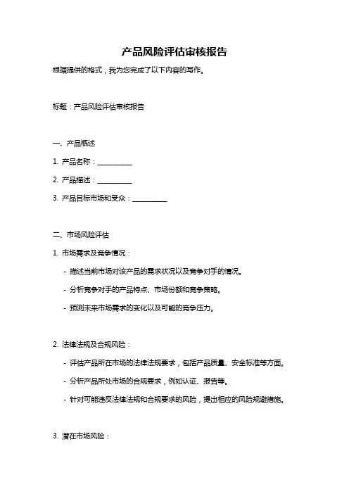 产品风险评估审核报告