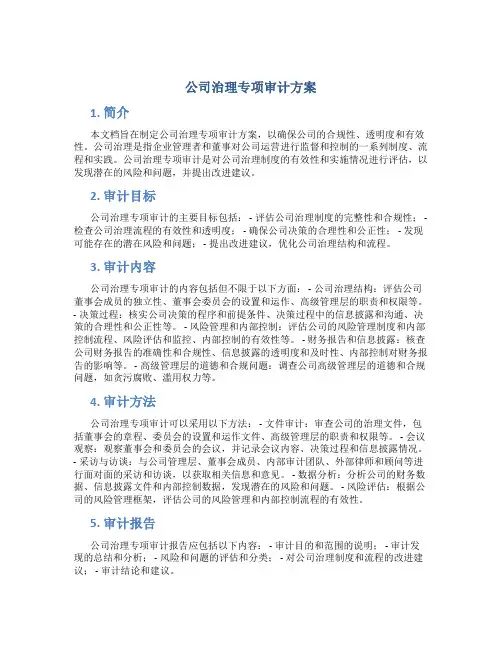 公司治理专项审计方案