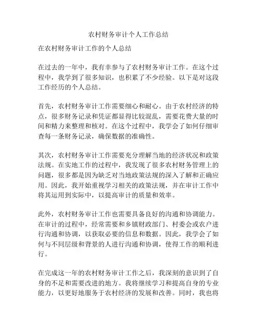 农村财务审计个人工作总结