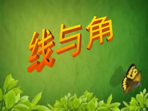 六年级下册数学课件-6.2.1 整理与复习：图形的认识-线与角 ▏冀教版(共11张PPT)