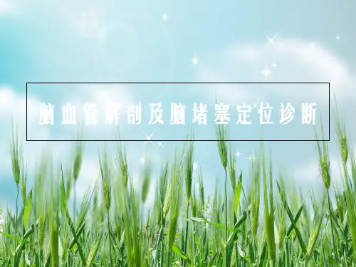脑血管解剖及脑梗塞定位诊断动脉系统幻灯片PPT