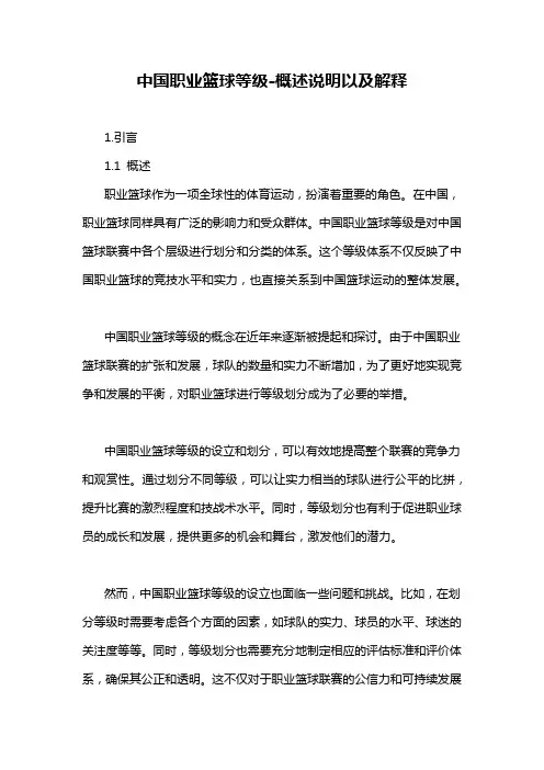 中国职业篮球等级-定义说明解析