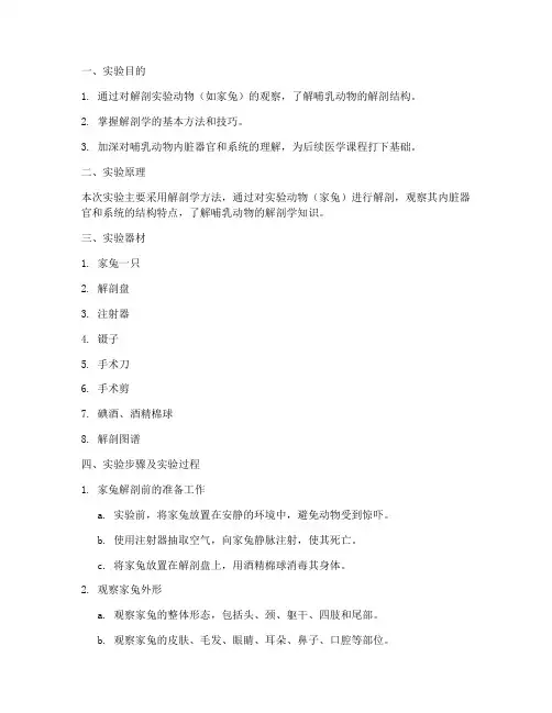 大学解剖实验报告