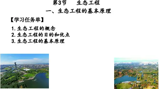 生态工程课件-2023-2024+学年高二生物人教版选择性必修一