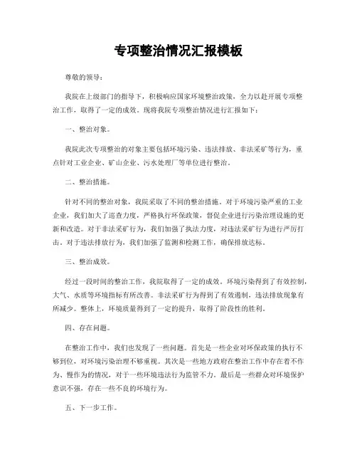 专项整治情况汇报模板