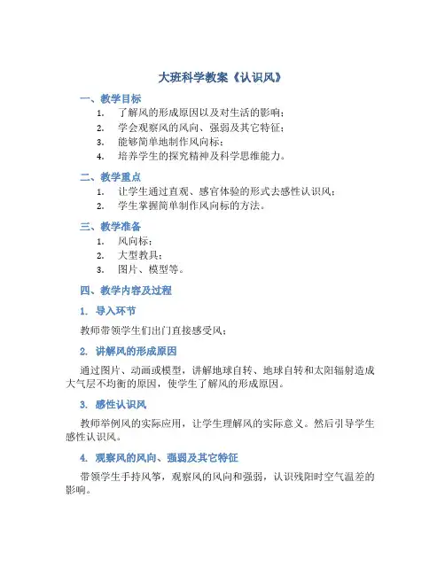 大班科学教案《认识风》