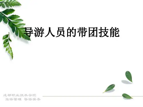 导游人员的带团技能培训(ppt35张)