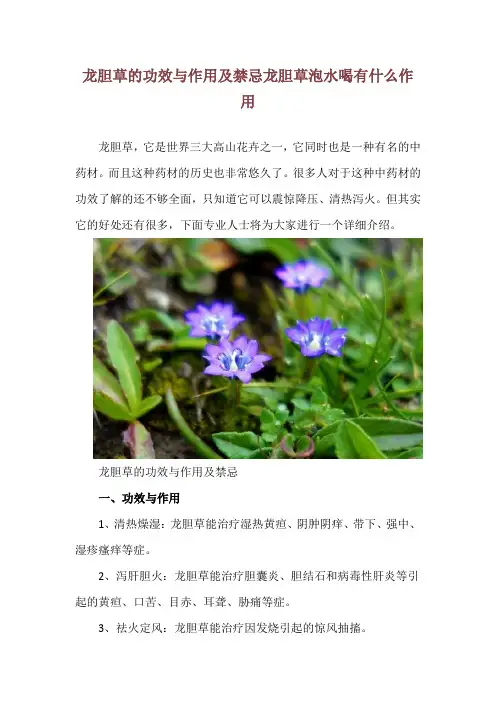 龙胆草的功效与作用及禁忌 龙胆草泡水喝有什么作用
