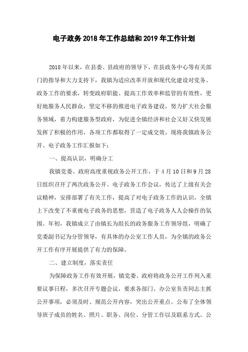 电子政务2018年工作总结和2019年工作计划