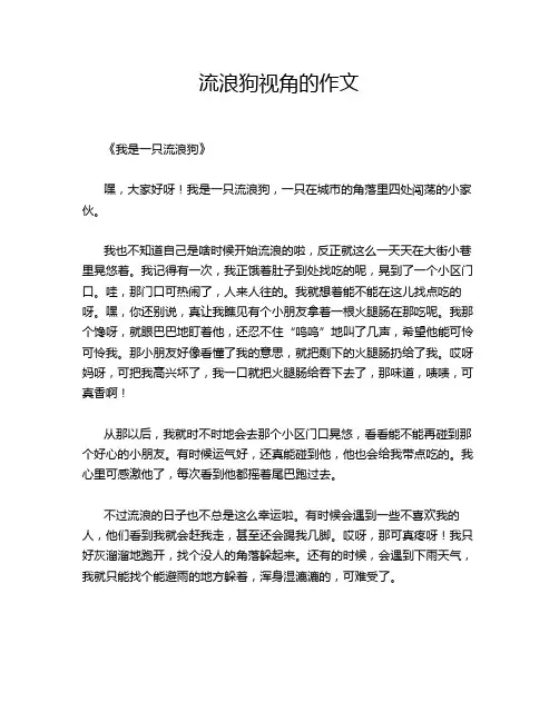 流浪狗视角的作文