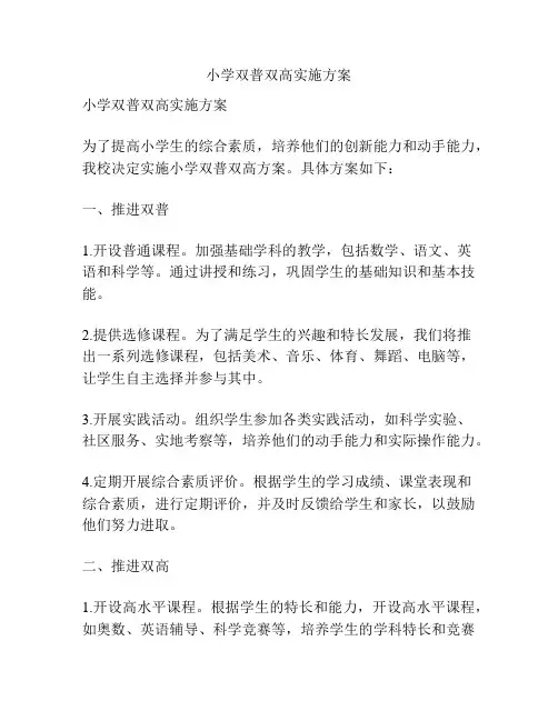 小学双普双高实施方案