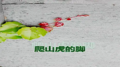 部编版语文四年级上册10《爬山虎的脚》课件(共27张PPT)(1)