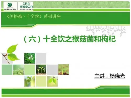 十全饮之猴菇菌和枸杞