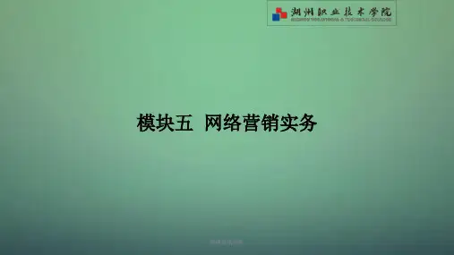 网络营销实务课件