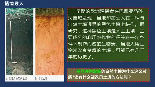 土壤课件-高中地理人教版(2019)必修一 
