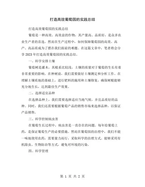 打造高效葡萄园的实践总结