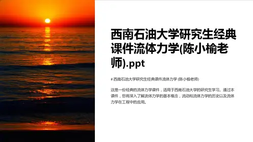 西南石油大学研究生经典课件流体力学(陈小榆老师)