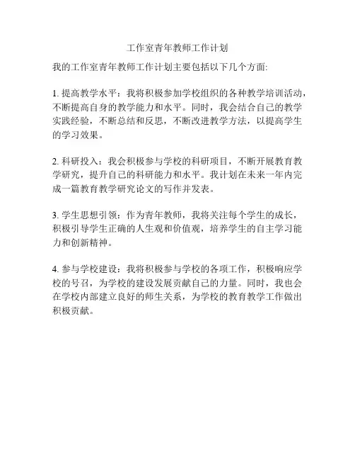 工作室青年教师工作计划
