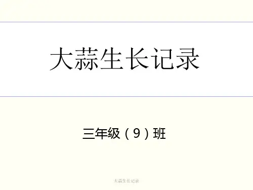 大蒜生长记录