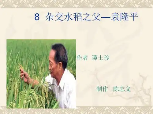 杂交水稻之父——袁隆平PPT3 语文版 (共12张PPT)