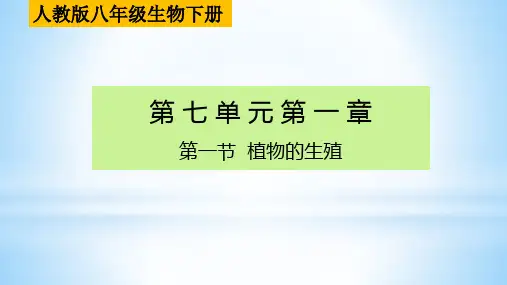 7.1.1植物的生殖课件-2023--2024学年人教版生物八年级下册