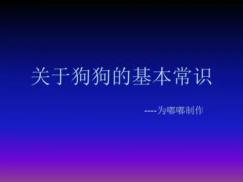 《关于狗狗的护理》PPT课件