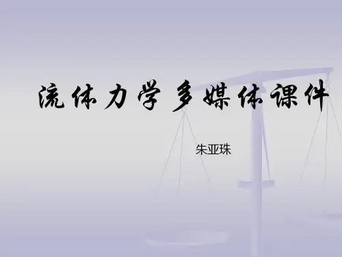 流体力学流体动力学