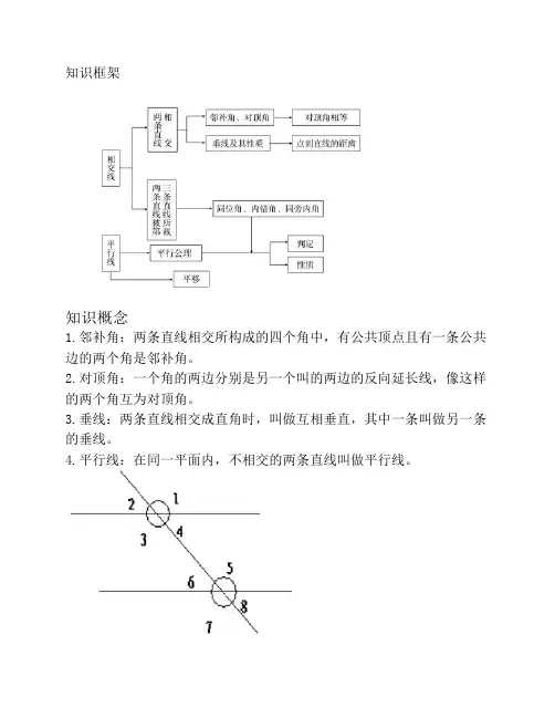 初中数学平行线、三角形初步概念复习