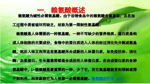 赖氨酸