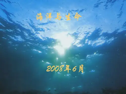 (职高)《海洋与生命》 PPT课件 5