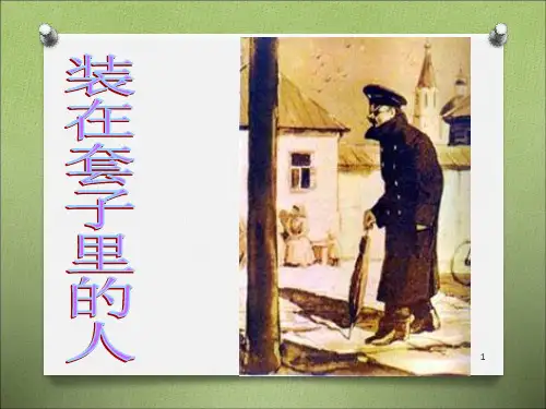 《装在套子里的人》公开课一等奖ppt课件