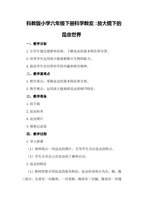 科教版小学六年级下册科学教案：放大镜下的昆虫世界