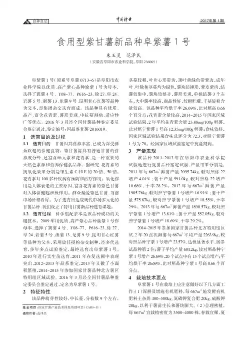 食用型紫甘薯新品种阜紫薯1号