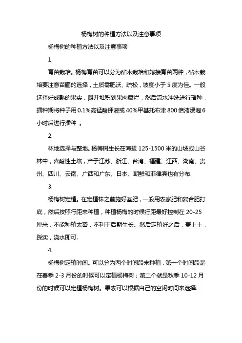杨梅树的种植方法以及注意事项