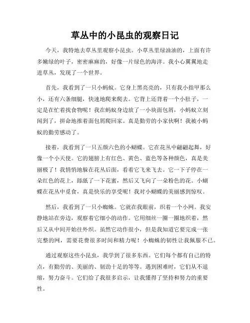 小学三年级作文草丛中的小昆虫的观察日记