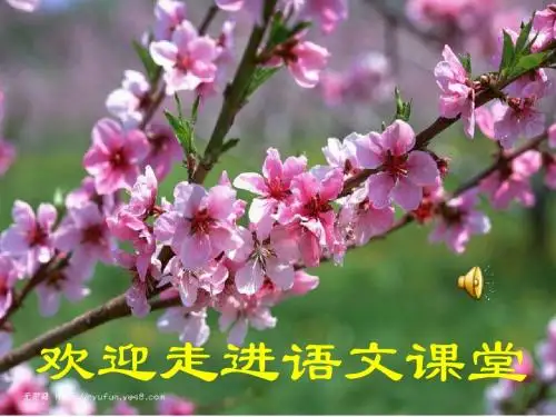 哨子