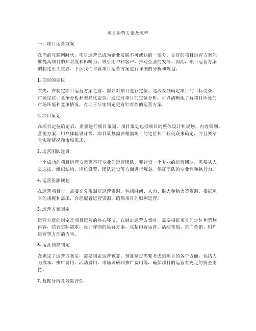 项目运营方案及流程