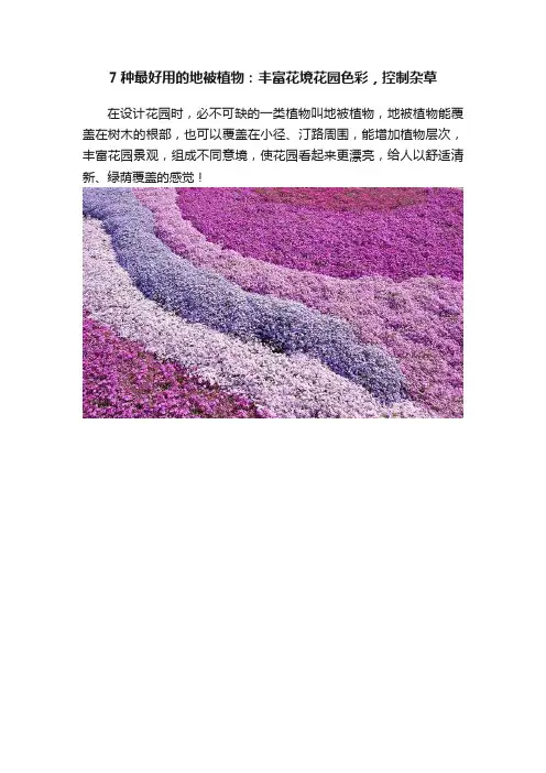 7种最好用的地被植物：丰富花境花园色彩，控制杂草