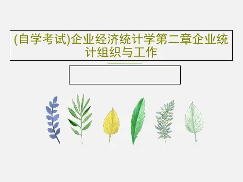 (自学考试)企业经济统计学第二章企业统计组织与工作PPT62页
